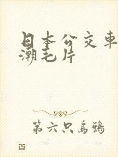 日本公交车上高潮毛片