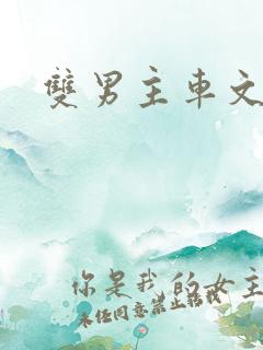 双男主车文双性