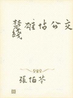 楚雄站公交车路线