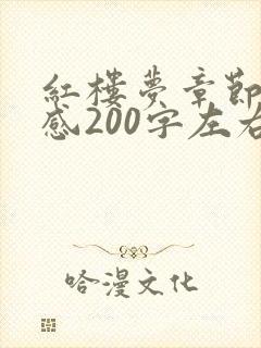 红楼梦章节读后感200字左右