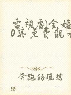 电视剧金婚第50集免费观看