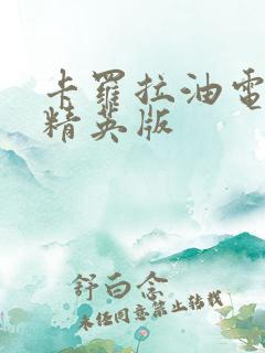 卡罗拉油电混动精英版