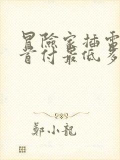 冒险家插电混动首付最低多少钱