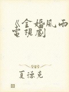 《金婚风雨情》电视剧