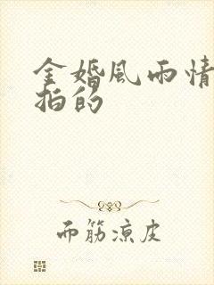 金婚风雨情哪年拍的
