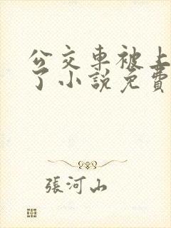 公交车被上高潮了小说免费阅读