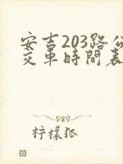 安吉203路公交车时间表