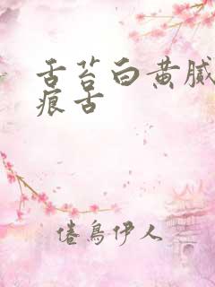 舌苔白黄腻有齿痕舌