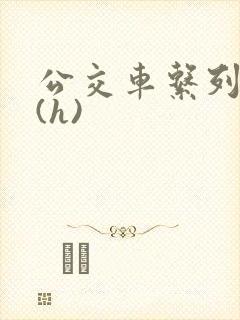 公交车系列小说(h)