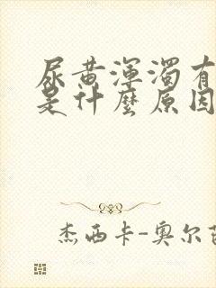 尿黄浑浊有异味是什么原因引起的