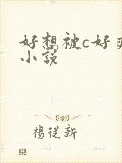 好想被c好爽n小说