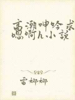 高潮呻吟求饶h嗯啊h小说