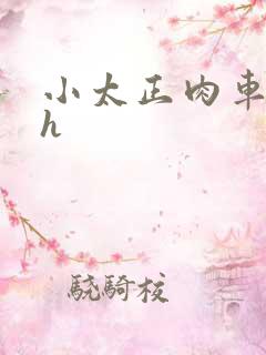 小太正肉车文高h