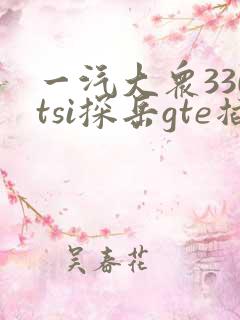 一汽大众330tsi探岳gte插电混动