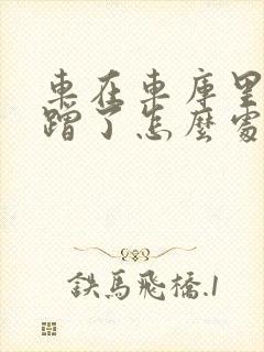 车在车库里被刮蹭了怎么处理