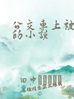公交车上被插入的小说