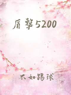 盾击5200