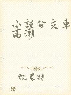 小说公交车被上高潮