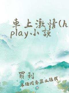 车上激情(h)play小说