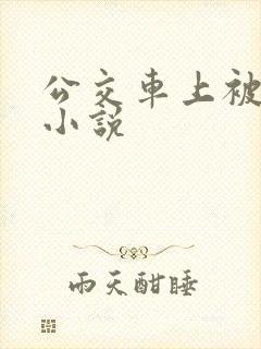 公交车上被强暴小说