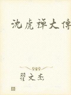 沈虎禅大传