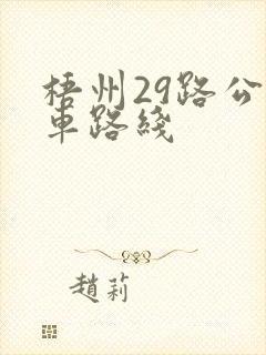 梧州29路公交车路线
