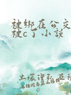 被绑在公交车里被c了小说