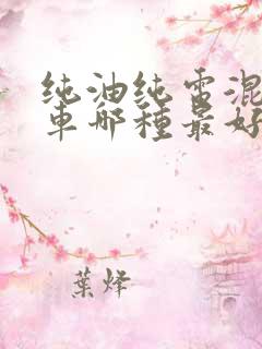 纯油纯电混动汽车哪种最好