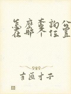 怎么查询公交车在哪个位置