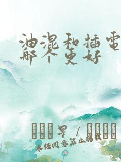 油混和插电混得哪个更好