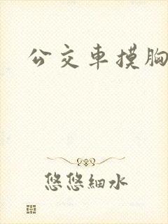 公交车摸胸故事