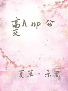 高h np 公交