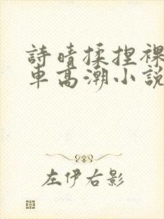 诗晴揉捏裸露公车高潮小说