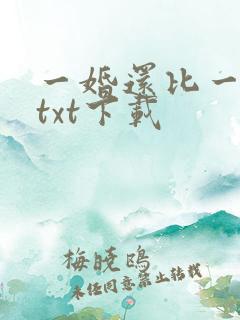 一婚还比一婚高txt下载
