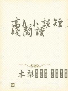 高h小说短篇在线阅读