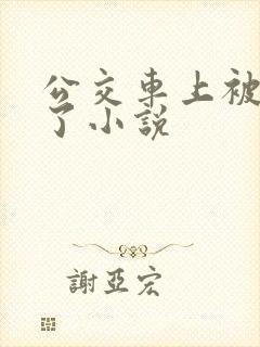 公交车上被高潮了小说