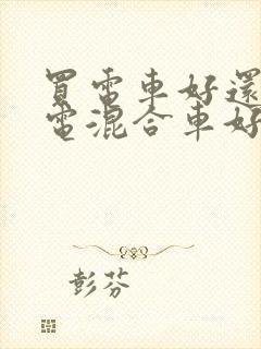 买电车好还是油电混合车好