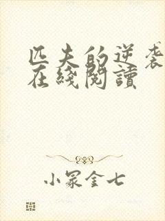 匹夫的逆袭小说在线阅读