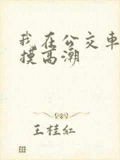 我在公交车上被摸高潮