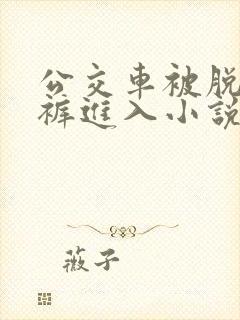 公交车被脱了内裤进入小说