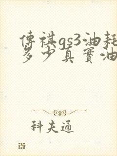 传祺gs3油耗多少真实油耗
