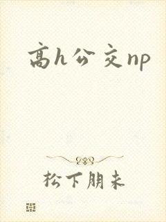 高h公交np