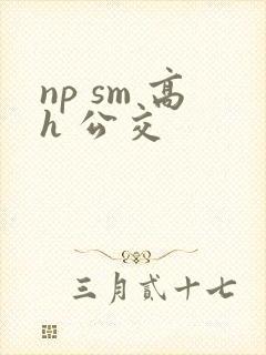 np sm 高h 公交