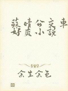 苏晴公交车被强好爽小说