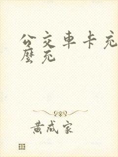 公交车卡充值怎么充