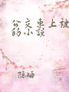 公交车上被进入的小说