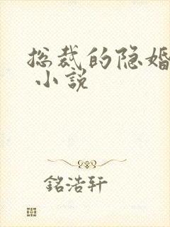 总裁的隐婚罪妻 小说