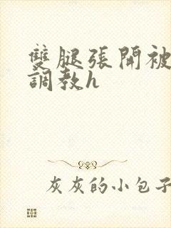 双腿张开被男人调教h