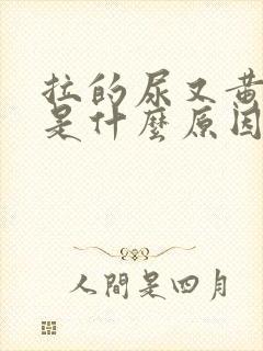 拉的尿又黄又臭是什么原因