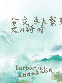 公交车h系列辣文n诗晴